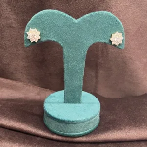 Newly Arrived Earring